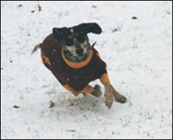 Click to view exif information